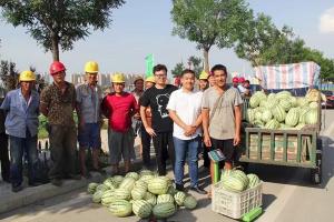 2017年7月13日公司獻愛心捐贈西瓜